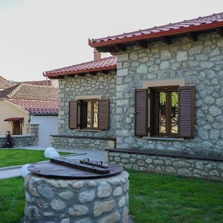 Guesthouse Pyxari Kalampáka Ngoại thất bức ảnh